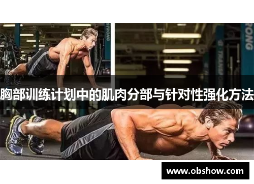 胸部训练计划中的肌肉分部与针对性强化方法