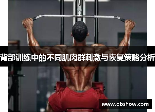 背部训练中的不同肌肉群刺激与恢复策略分析