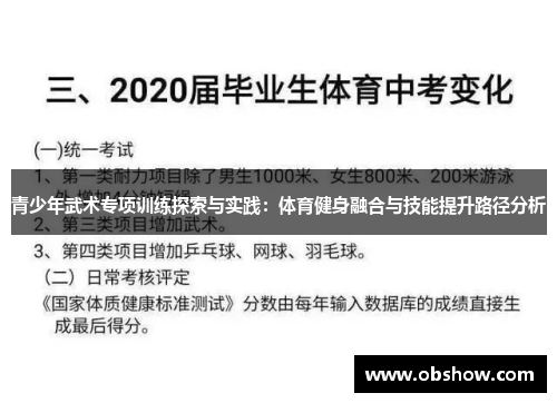 青少年武术专项训练探索与实践：体育健身融合与技能提升路径分析